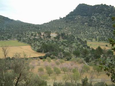 DSCF0033.JPG